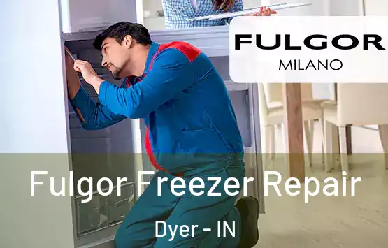  Fulgor Freezer Repair Dyer - IN