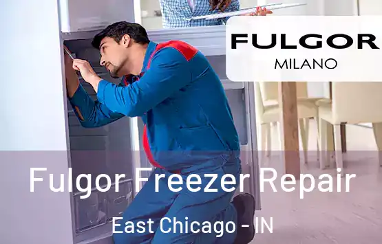  Fulgor Freezer Repair East Chicago - IN
