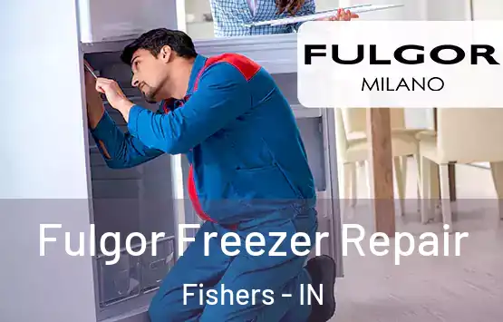  Fulgor Freezer Repair Fishers - IN