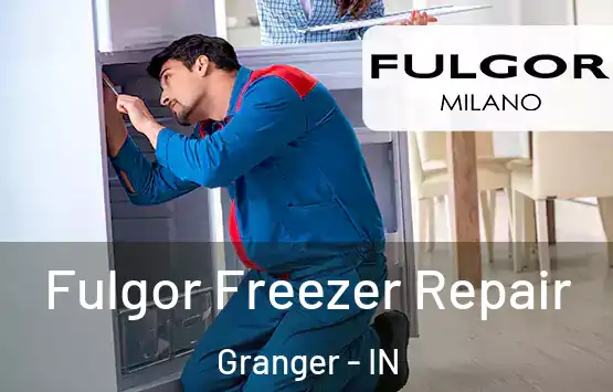  Fulgor Freezer Repair Granger - IN
