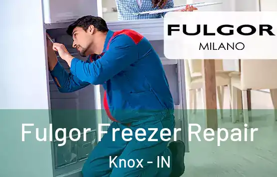  Fulgor Freezer Repair Knox - IN