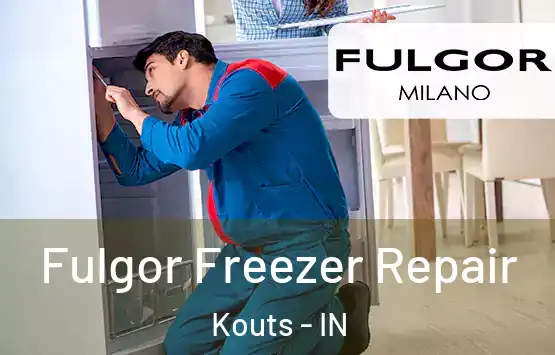  Fulgor Freezer Repair Kouts - IN