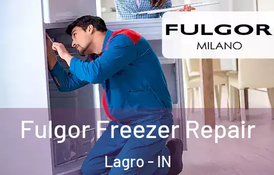  Fulgor Freezer Repair Lagro - IN