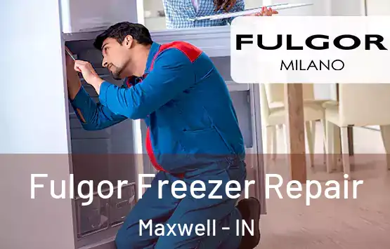  Fulgor Freezer Repair Maxwell - IN