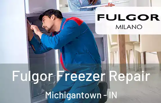  Fulgor Freezer Repair Michigantown - IN