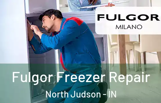  Fulgor Freezer Repair North Judson - IN