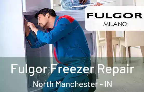  Fulgor Freezer Repair North Manchester - IN