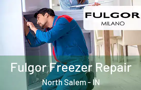  Fulgor Freezer Repair North Salem - IN
