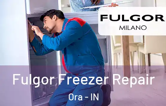  Fulgor Freezer Repair Ora - IN