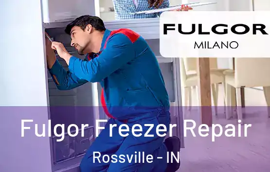  Fulgor Freezer Repair Rossville - IN