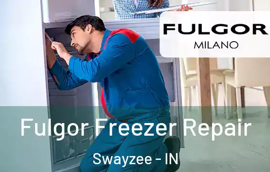  Fulgor Freezer Repair Swayzee - IN