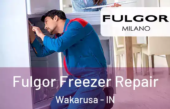  Fulgor Freezer Repair Wakarusa - IN