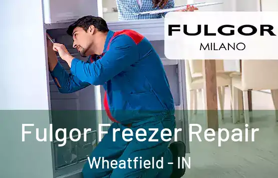 Fulgor Freezer Repair Wheatfield - IN