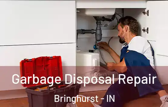  Garbage Disposal Repair Bringhurst - IN