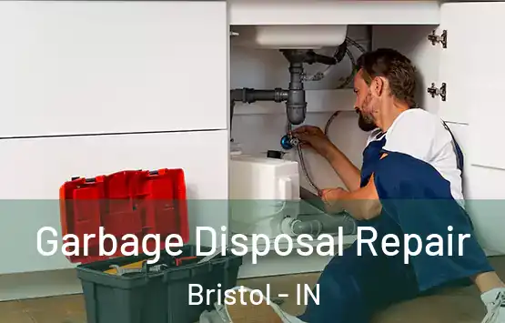  Garbage Disposal Repair Bristol - IN