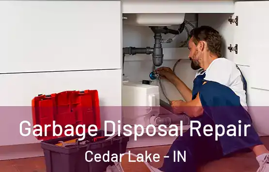  Garbage Disposal Repair Cedar Lake - IN