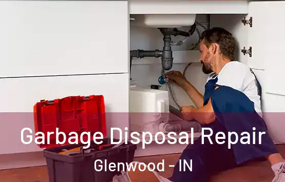  Garbage Disposal Repair Glenwood - IN