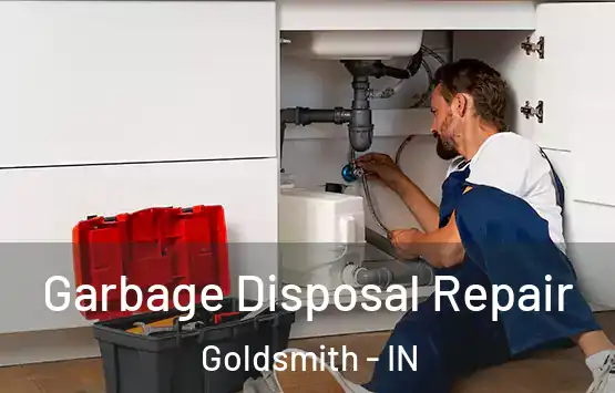  Garbage Disposal Repair Goldsmith - IN
