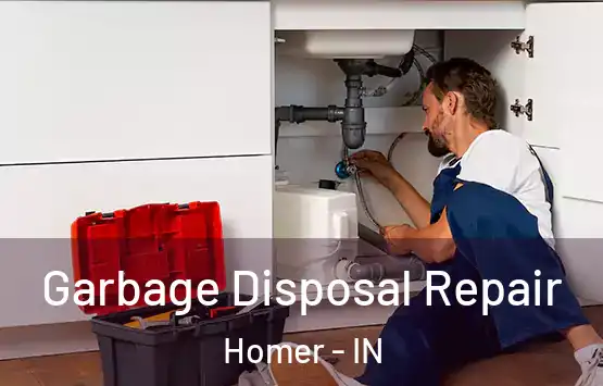  Garbage Disposal Repair Homer - IN