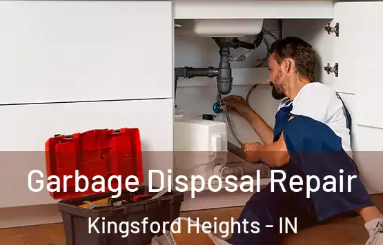  Garbage Disposal Repair Kingsford Heights - IN