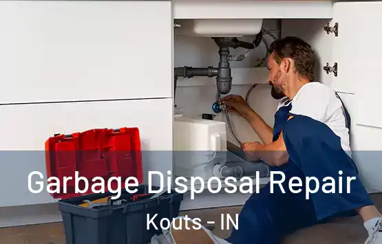  Garbage Disposal Repair Kouts - IN