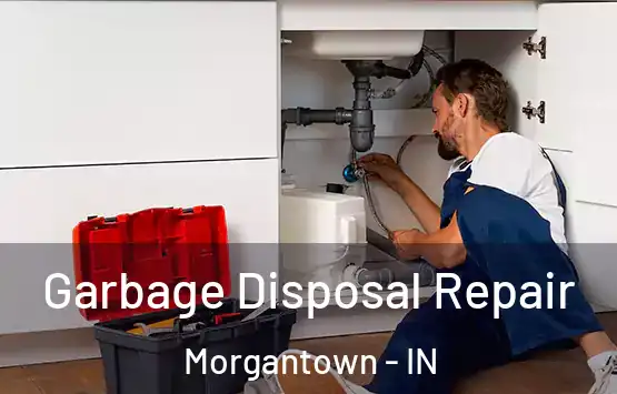  Garbage Disposal Repair Morgantown - IN