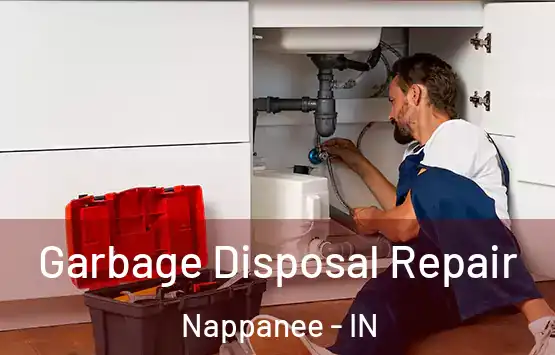  Garbage Disposal Repair Nappanee - IN