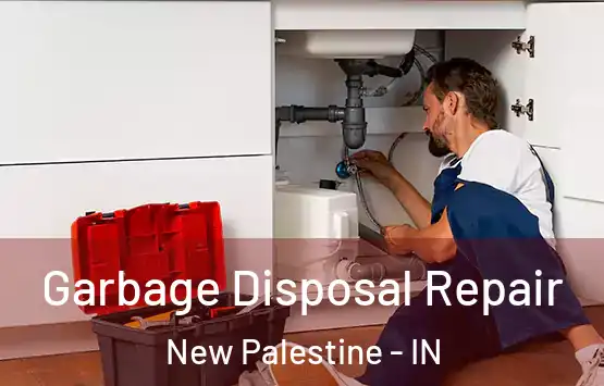  Garbage Disposal Repair New Palestine - IN