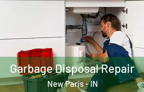  Garbage Disposal Repair New Paris - IN