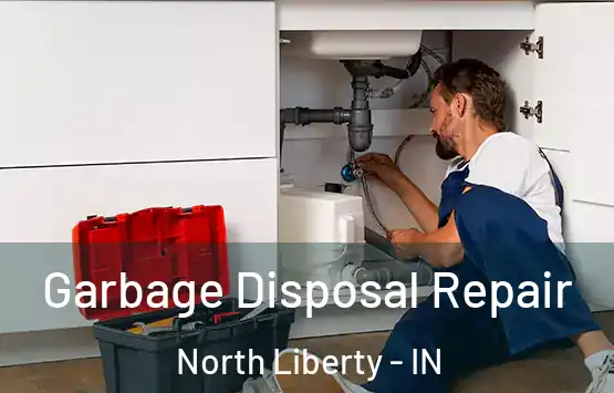  Garbage Disposal Repair North Liberty - IN