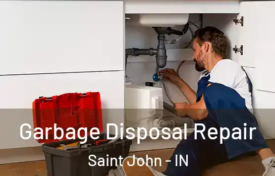  Garbage Disposal Repair Saint John - IN