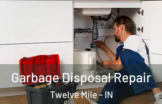  Garbage Disposal Repair Twelve Mile - IN