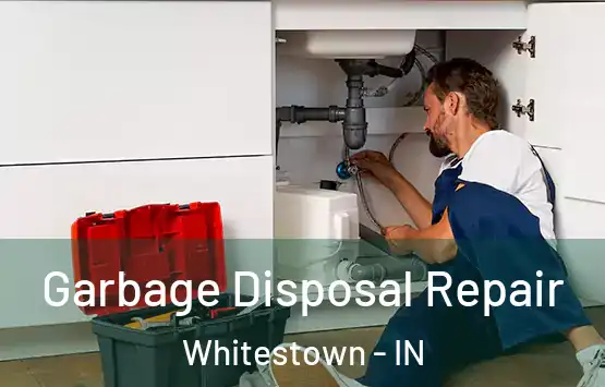  Garbage Disposal Repair Whitestown - IN