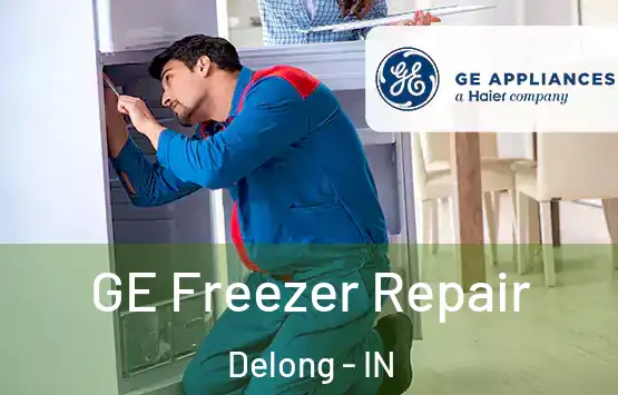  GE Freezer Repair Delong - IN