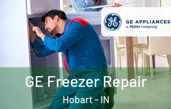  GE Freezer Repair Hobart - IN