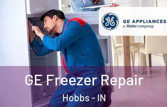  GE Freezer Repair Hobbs - IN