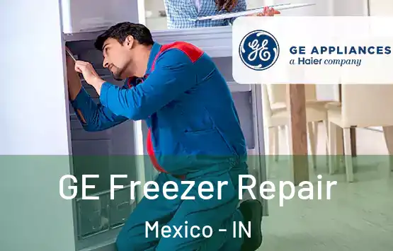  GE Freezer Repair Mexico - IN