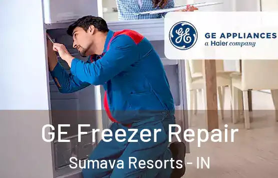  GE Freezer Repair Sumava Resorts - IN