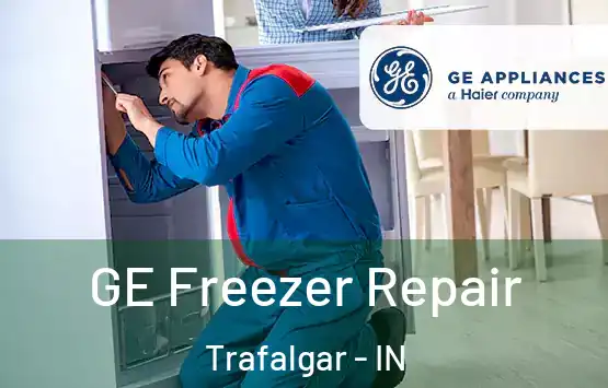  GE Freezer Repair Trafalgar - IN