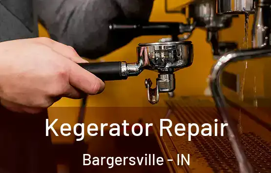  Kegerator Repair Bargersville - IN
