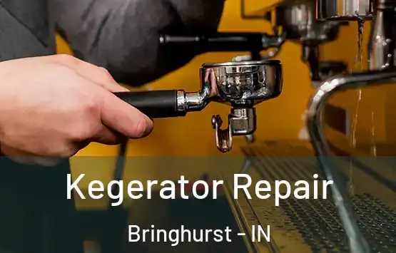  Kegerator Repair Bringhurst - IN