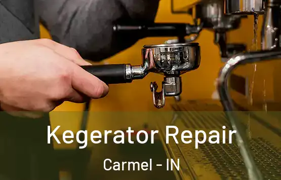  Kegerator Repair Carmel - IN