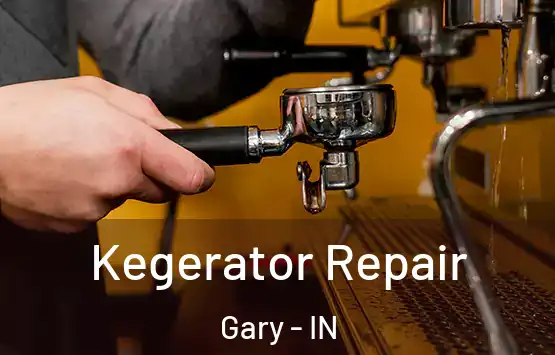  Kegerator Repair Gary - IN