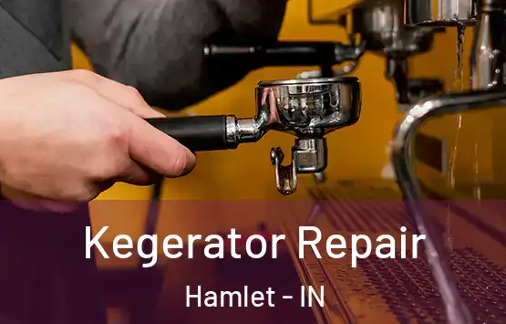  Kegerator Repair Hamlet - IN