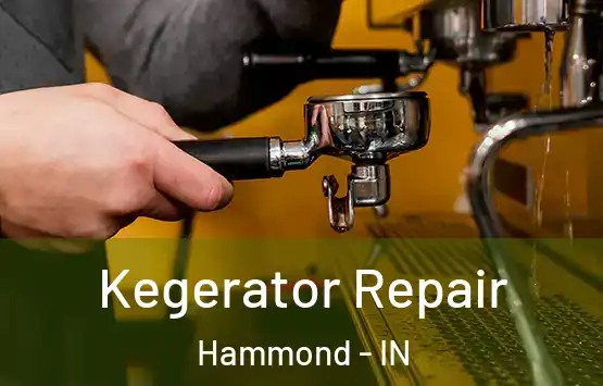  Kegerator Repair Hammond - IN