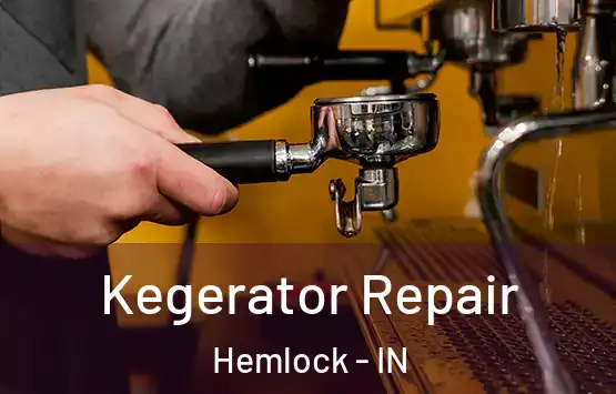  Kegerator Repair Hemlock - IN