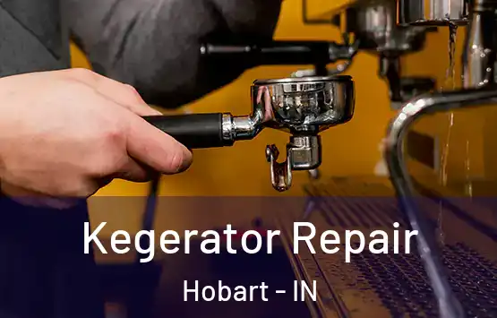  Kegerator Repair Hobart - IN