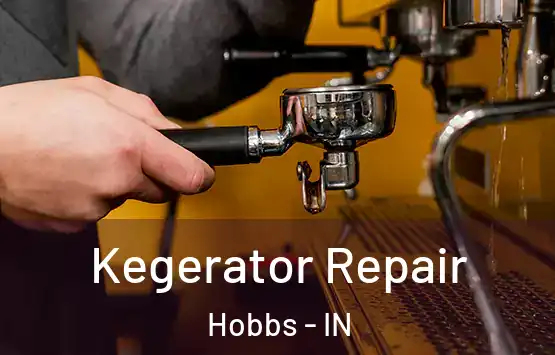  Kegerator Repair Hobbs - IN
