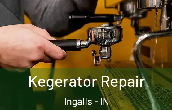  Kegerator Repair Ingalls - IN