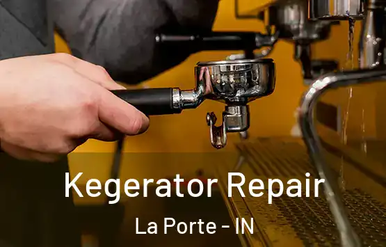  Kegerator Repair La Porte - IN
